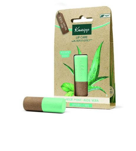 Kneipp Lippenpflege Minze Aloe Vera Lippenbalsam