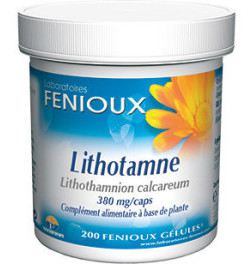 Lithotam 380 mg 200 Kapseln