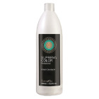 Supreme Farbentwicklercreme 10 Vol 3%