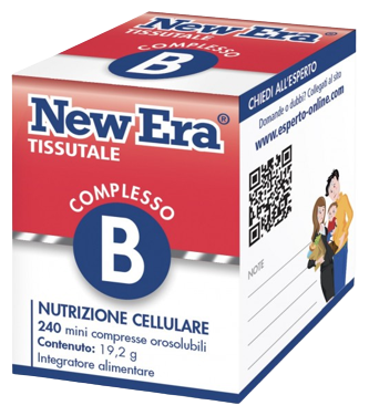 New Era Komplex B 240 Tabletten