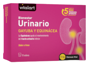Vitalart Harnwegs-Wohlbefinden 10 Beutel