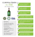 Chlorophyll mit Minze 60 ml