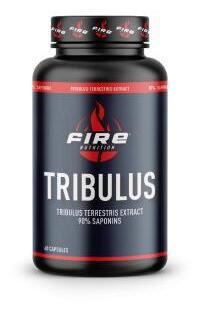 Fire Nutrition Tribulus Terrestris 90 % Saponine 60 Kapseln