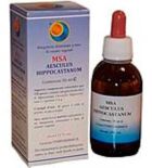 Msa Aesculus Hip Buds Rosskastanie 50 ml