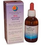 Msa Ampelopsis Weitchii Junge Triebe 50 ml