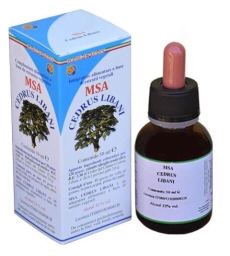 Herboplanet Msa Cedrus Libani Knospen 50 ml