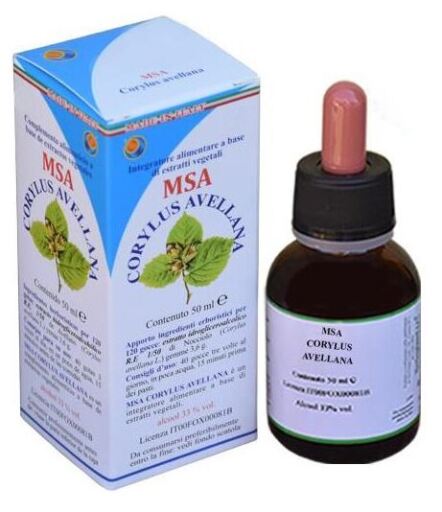 Herboplanet Msa Corylus Haselnussknospen 50 ml