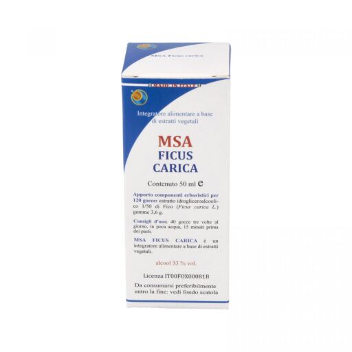 Herboplanet Msa Ficus Carica Feigenknospen 50 ml