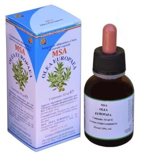 Herboplanet Msa Olea Europaea Junge Triebe 50 ml
