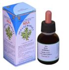 Msa Olea Europaea Junge Triebe 50 ml