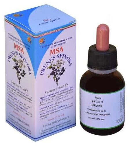 Herboplanet Msa Prunus Spinosa Knospen 50 ml