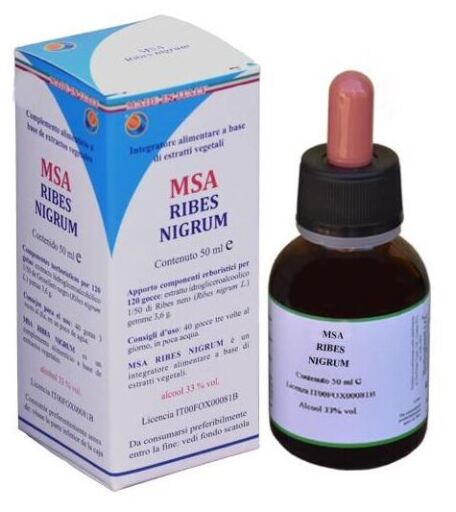 Herboplanet Msa Ribes Nigrum Schwarze Johannisbeerknospen 50 ml