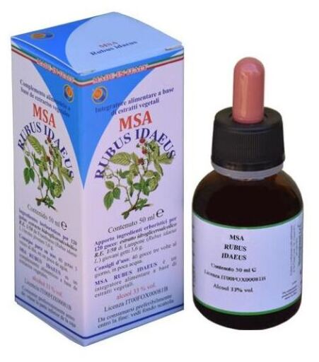 Herboplanet Msa Rubus Idaeus Junge Triebe 50 ml