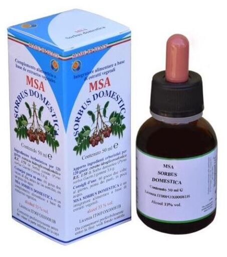 Herboplanet Msa Sorbus Domestica Ebereschenknospen 50 ml