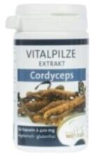 Cordyceps 60 Kapseln Cordyceps 60 Kapseln