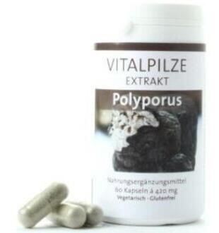 Pilze Wohlrab Polyporus 60 Kapseln