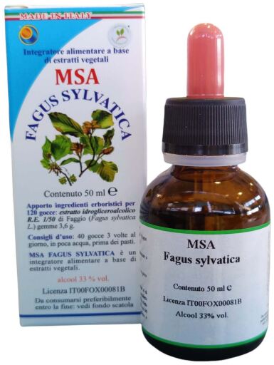 Herboplanet Msa Fagus Sylvatica Knospen 50 ml