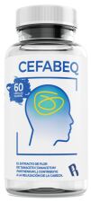 Cefabeq 60 Kapseln