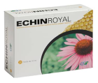 Echin Royal 20 Ampullen