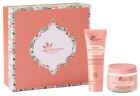 3-teiliges Radiance Nutrition Set
