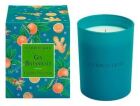 Duftkerze mit Gin-Botanicals, 250 g Duftkerze mit Gin-Botanicals, 250 g